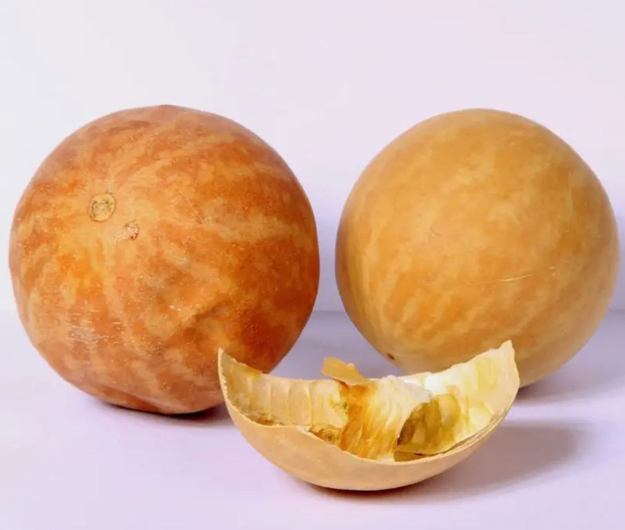 هندوانه ابوجهل(حنظل) ۵۰گرم